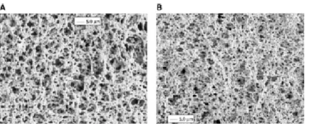 Figure 9.  유리 기판에 i-PP  를 녹인 자일렌 용액에 비용매로 MEK를 첨가하고 건조 온도를 달리하여 제조한 초발수 표면 