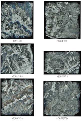 Figure 10. The 2nd classification of the  trees suspected for PWN infection.