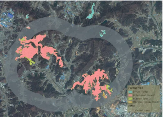 Figure 12. PWN distribution by forest type. 지에 비해 피해 의심목을 검출하는 것이 비교적 어려운  것으로 분석되었다.  또한 선단지의 경우 누락목에 의한 2 차 피해를 우려하여 1차 영상분류 및 2차 영상분류의 과 정에서 과도한 분류를 실시한 점도 기인한 것으로 사료 된다