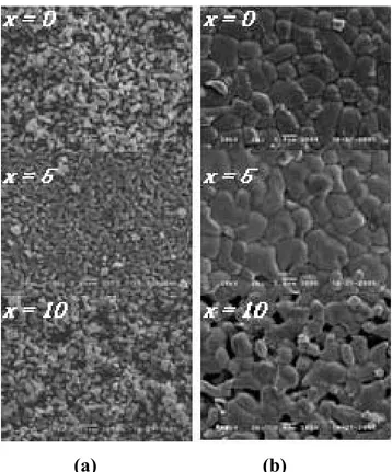 Fig. 4. SEM micrographs of compact with composition  of 95wt%TZ–5wt%Al2O3 uniaxially pressed at 1 ton  force