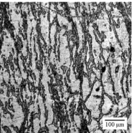 Fig. 1. The microstructures by OM for the hot-forging  samples before hot treatment.   