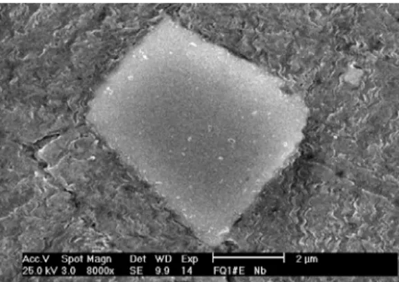 Fig. 1. A NbC particle embedded in matrix. 