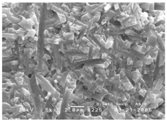 Fig. 1. SEM micrographs of Si 3 N 4  specimen with high 