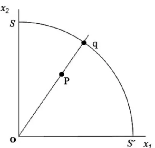Figure 1. The maximum production possibility set curve by Farrell.