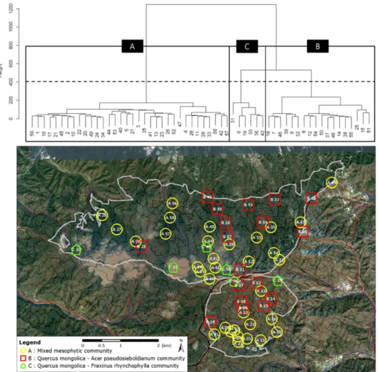 Table 5. Importance values of tree species in forest communities of Mt. Daeseng area.