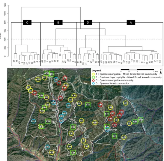 Table 6. Importance values of tree species in forest communities of Juparyeong area.