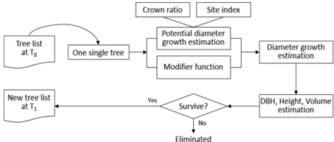 Table 2. Summary statistics of stem analysis for Crytomeria japonica in sampling plots.