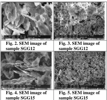 Fig. 3. SEM image of    sample SGG12 