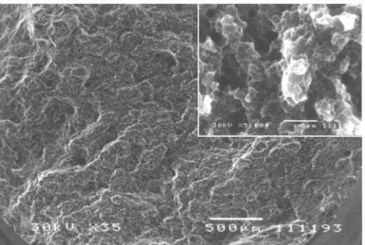 Fig. 2 shows SEM micrographs of the tensile fracture  surfaces of the extruded Al-20Si alloy bars with <26  µm