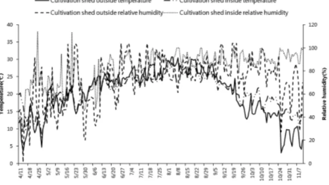 Figure 2. Daily changes in temperature and relative humidity inside and outside of shed for Lentinula edodes surface sawdust bed cultivation during 11th April to 11th November
