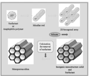 Figure 1.  실리카 기반 메조기공구조체의 TEM (Transmis- (Transmis-sion electron microscopy) image.