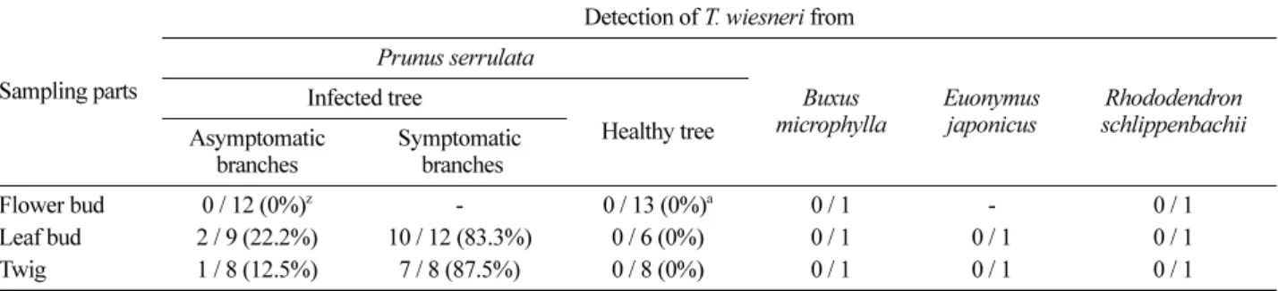 Table 2. Distribution of  Taphrina wiesneri in shoots and branches of symptomatic Prunus serrulata was detected by PCR with the species-specific primers TwITSF/TwITSR.