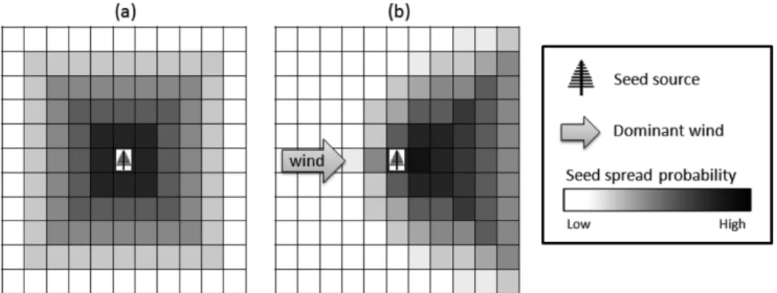 Figure 1. Examples of topological application of seed spread probability in a raster-based landscape