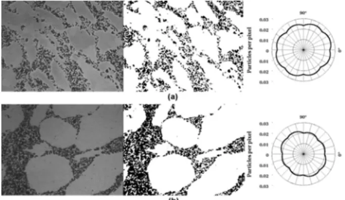 Fig. 2. Structure, detected images, anisotropy rose  diagram of Al-SiC composites: (a) SiC-20 %, Al-100 µm,  SiC-10 µm, (b) SiC-20 %, Al-180 µm, SiC-10 µm