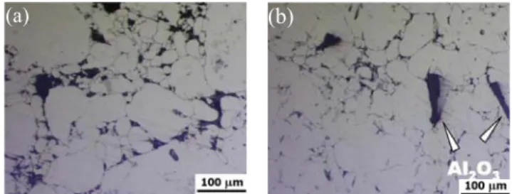 Figure 1 shows the OM microstructure of parts sintered  at 620 o C for 60 min. The relative densities of AMB2712 