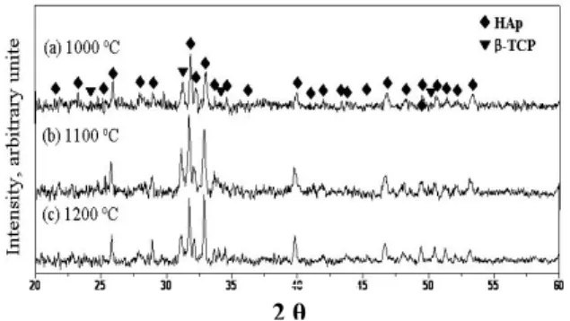 Fig. 2. XRD profiles for SPSed HAp/CNT composites  sintered at different temperatures