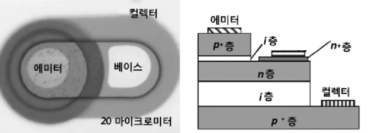 Figure 3. 입력베이스 전류에 대해 약 10배의 수집전류 증 폭 출력결과. 은 일반 전자 장치에서 보여지는 밴드 전도라는 기구가 아니라 호핑 전도라는 특유의 기구이다