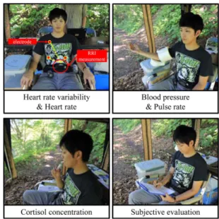 Figure 2. Scenery for the experiment (walking and viewing phases).