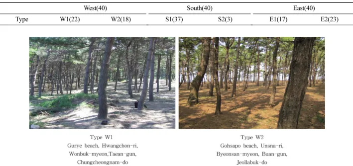 Figure 5. The representative coastal disaster prevention forest of west coast.