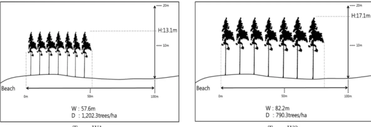 Figure 7. The representative coastal disaster prevention forest of south coast.