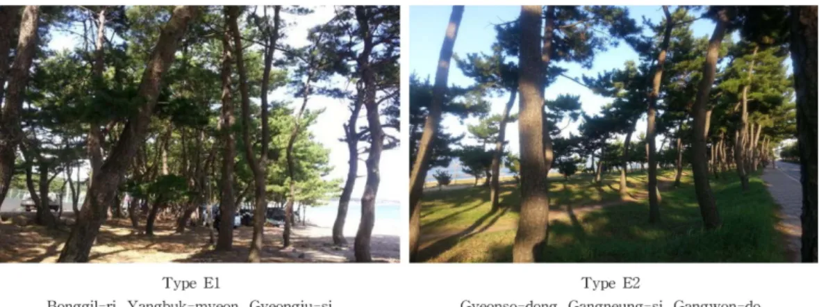 Figure 10. A comparison between coastal disaster prevention forest of east coast; H is average tree hight, W is average forest width and D is average density of growing stock.