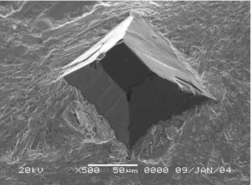 Fig. 3. The intact appearance of CCC after a diamond  dresser went through a CMP process (left  diagram)