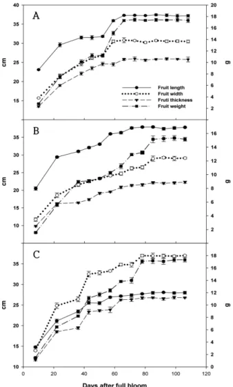 Figure 2. Changes of the fruit length, thickness, width, weight of ‘Saehan’ (A), ‘Daesung' (B) and ‘Chilbo’ (C) during fruit maturation period in 2013.