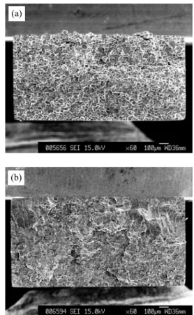 Fig. 2. SEM micrographs of the fracture surfaces of  recrystallized pure molybdenum (a) and  carburized at 1673 K for 16 h (b)