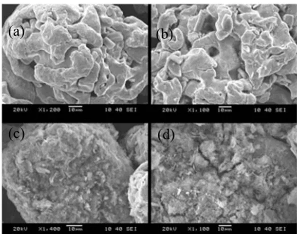 Fig. 2. Micrographs of EDS dot mapping of the  insulated iron powder. 