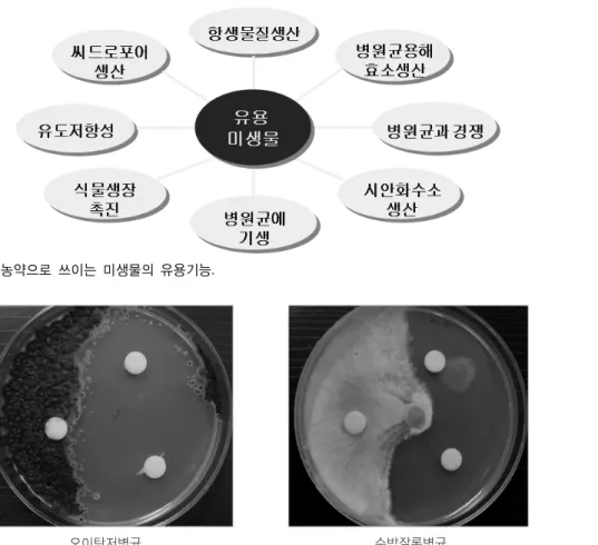 Figure 2.   미생물농약으로 쓰이는 미생물의 유용기능.