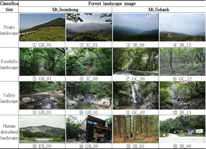 Figure 2. Forest landscape images by landscape types and the study area.