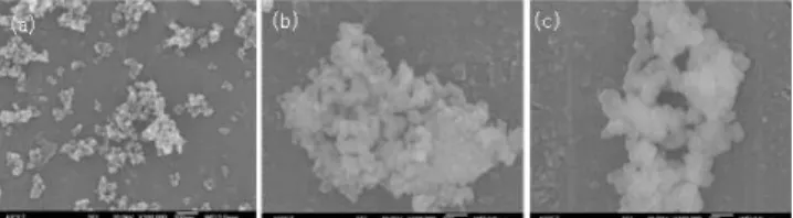 Fig. 2. (a) Zeta potential of the magnetite, Si-MNPs and  amino functionalized Si-MNPs and (b)  electro-phoresis image of the lambda DNA purification