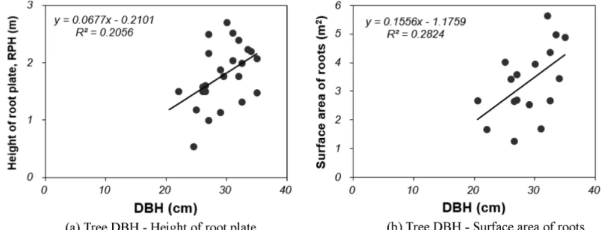 Figure 10. Simple linear regression of aboveground and belowground properties,  Pinus koraiensis.