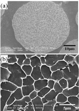Fig. 2 Tensile strength of the extruded bar with the  initial powder sizes  