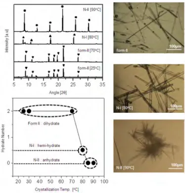 그림 6. Polymorph  desing  of  active  pharmaceutical  ingredient  using  ionic liquid [Crystal Growth &amp; Design 2010, Vol