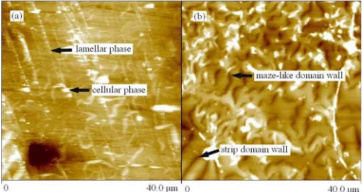 Fig. 3 A 40µm×40µm MFM image of (a) the typical  microstructure and (b) the corresponding domain s tructure of sample A  20 40 60 80 100○▼▼▼▼▼ 700℃26℃Intensity 2 θ  /  o○○○△△△▼▼ ▼ ▼▼ 200℃100℃300℃400℃500℃● ▼▼▼▼▼●600℃