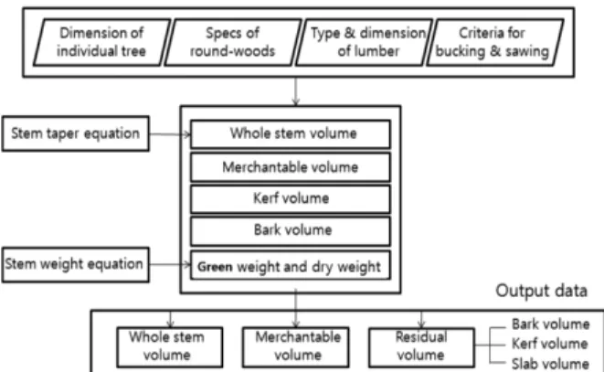 Figure 1. The structure of the model.