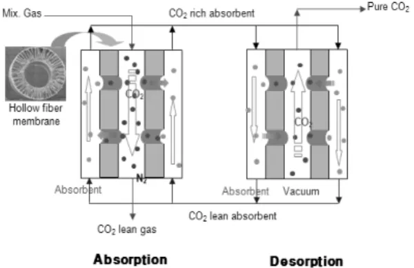 Figure 7. Membrane contactor process for CO 2  recovery.