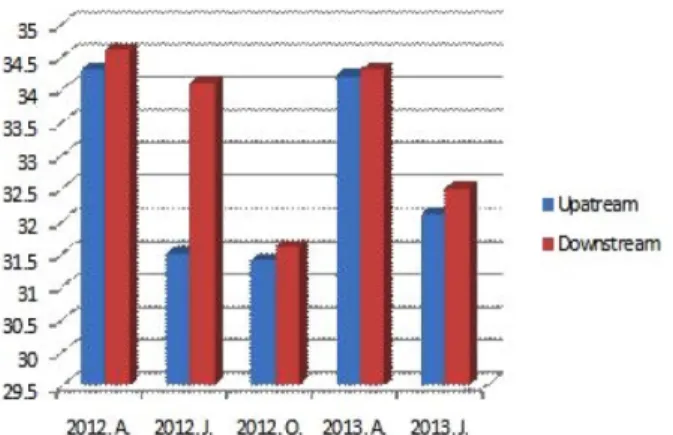 Figure 9. Change of average of total quantity anion of Hongei valley stream water from 2012 to 2013.