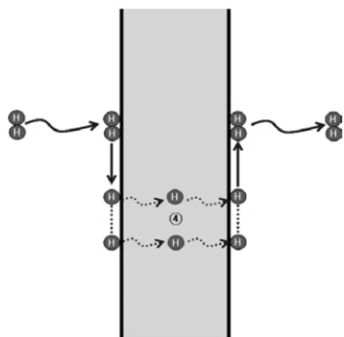 Figure 2. Hydrogen transportation mechanism through the  dense metallic membranes:  ① diffusion of hydrogen to the  metal surface;  ②  adsorption of hydrogen on the surface; 