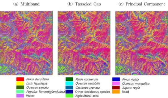 Figure 2. Land cover classification map by the pixel-based classification.