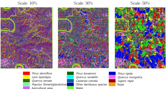 Figure 3. Land cover classification map for different scale factors by the segment-based classification.