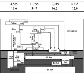 Figure 2. The carbon pool structure of the CBM-CFS3, SW : softwood, HW : hardwood, AG : above ground, BG : below ground (Kull  et al