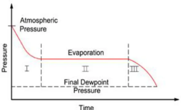 Fig. 1. Pressure change during vacuum drying. 