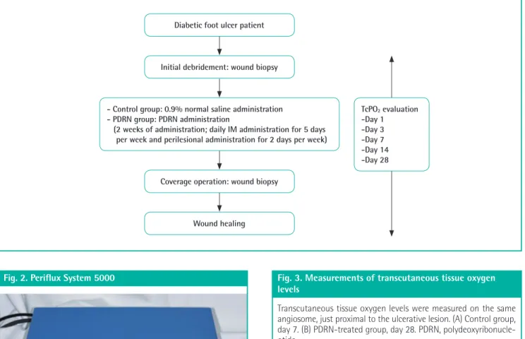 Fig. 1. Treatment protocol of the study