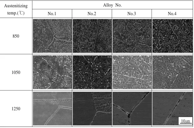 Fig. 1 SEM micrographs of alloys austenitized at various temperatures