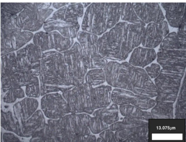 Fig. 1 Optical micrograph of the 12Cr heat resistant  steel with ferrite phase