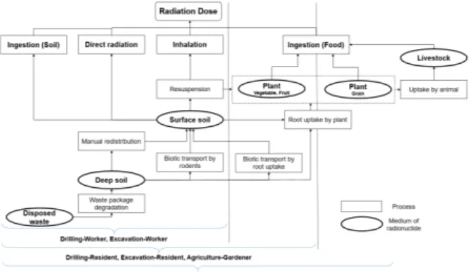 Fig. 1. Schematic diagram of the assessment model for  human intrusion scenarios. 