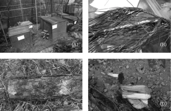 Figure 2. The numbers of specimen emerged wood crumbs, the total wood crumbs, specimen emerged larval entrance holes, the total emerged larva in the specimen tended at different times (treatment 1).