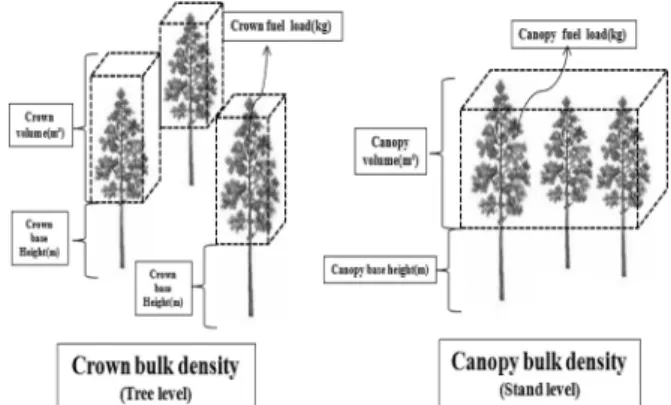 Figure 2. Diagram illustrating for the analysis of crown bulk density and canopy bulk density.